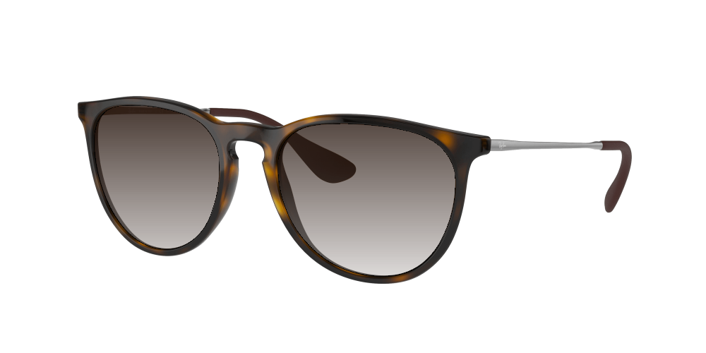 Ray Ban RB4171 710/T5 Erika Ray Ban RB4171 710/T5 Erika