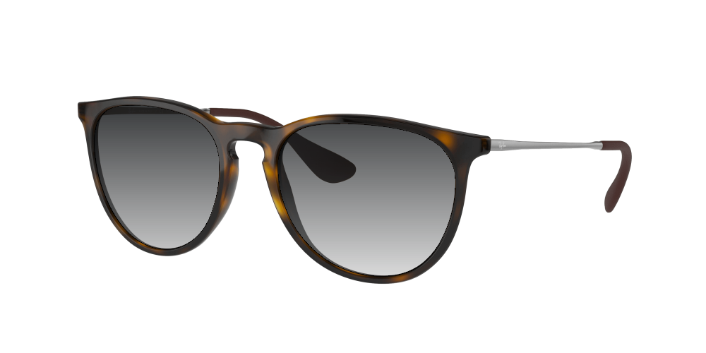 Ray Ban RB4171 710/T5 Erika Ray Ban RB4171 710/T5 Erika
