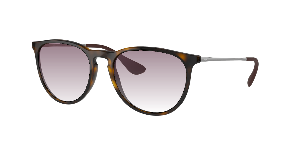 Ray Ban RB4171 710/T5 Erika Ray Ban RB4171 710/T5 Erika