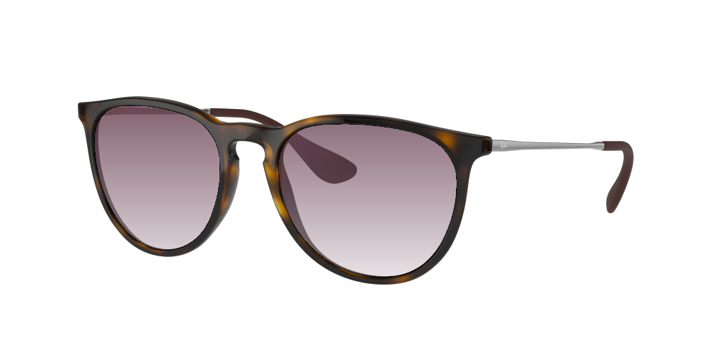 Ray Ban RB4171 710/T5 Erika Ray Ban RB4171 710/T5 Erika