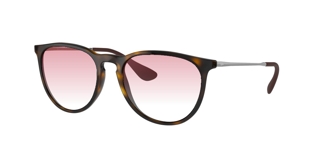 Ray Ban RB4171 710/T5 Erika Ray Ban RB4171 710/T5 Erika