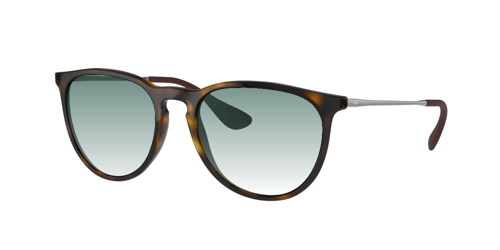 Ray Ban RB4171 710/T5 Erika Ray Ban RB4171 710/T5 Erika