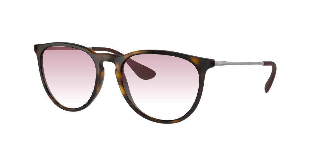 Ray Ban RB4171 710/T5 Erika Ray Ban RB4171 710/T5 Erika