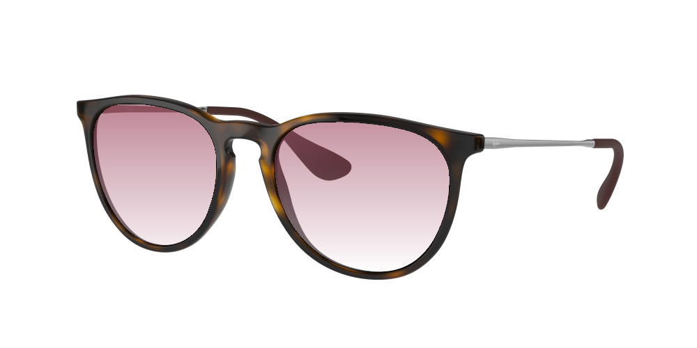 Ray Ban RB4171 710/T5 Erika Ray Ban RB4171 710/T5 Erika