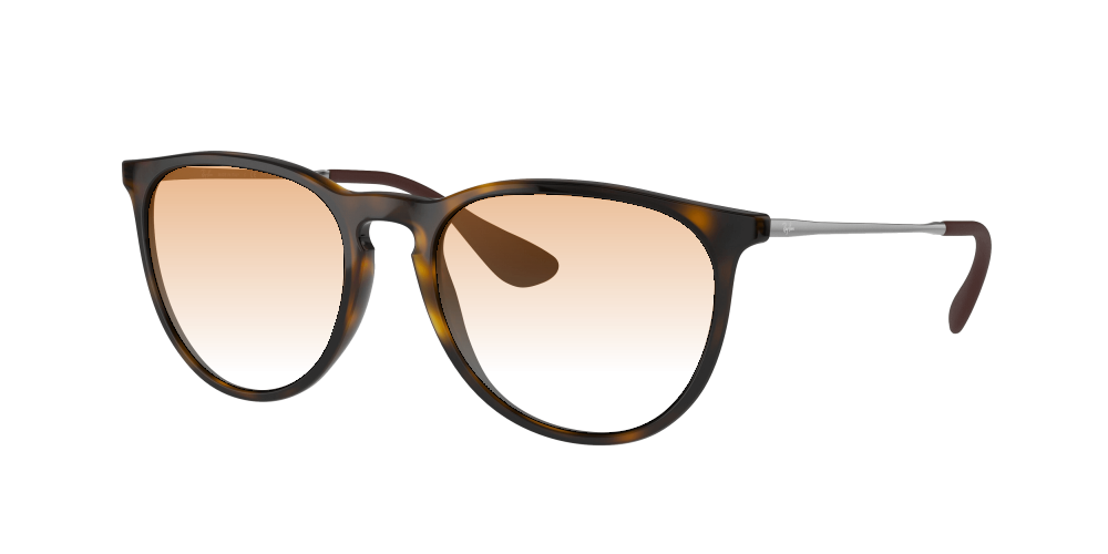 Ray-Ban RB4171 710/T5 Erika Ray-Ban RB4171 710/T5 Erika