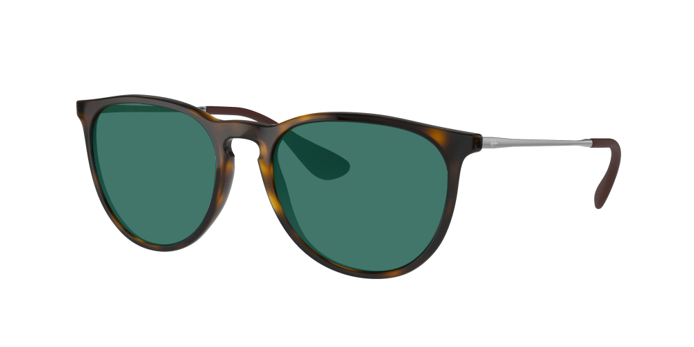 Ray Ban RB4171 710/T5 Erika Ray Ban RB4171 710/T5 Erika