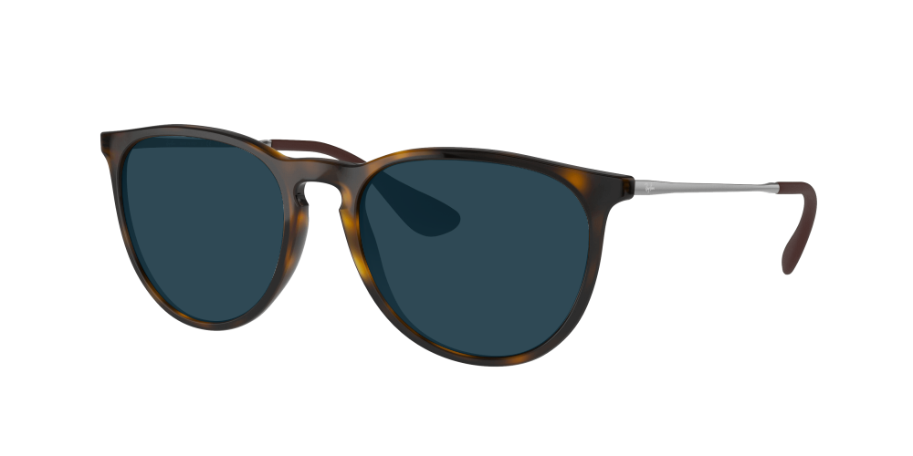 Ray-Ban RB4171 710/T5 Erika Ray-Ban RB4171 710/T5 Erika