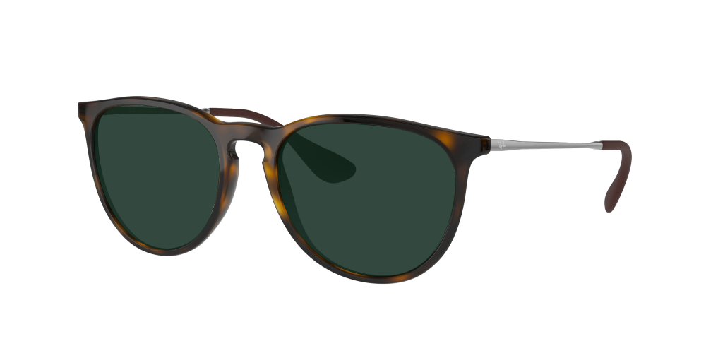 Ray Ban RB4171 710/T5 Erika Ray Ban RB4171 710/T5 Erika