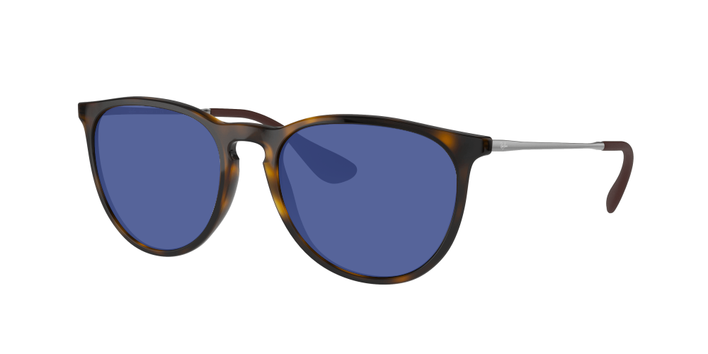 Ray Ban RB4171 710/T5 Erika Ray Ban RB4171 710/T5 Erika