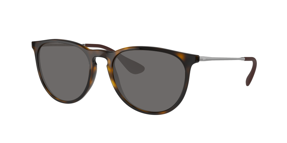 Ray Ban RB4171 710/T5 Erika Ray Ban RB4171 710/T5 Erika