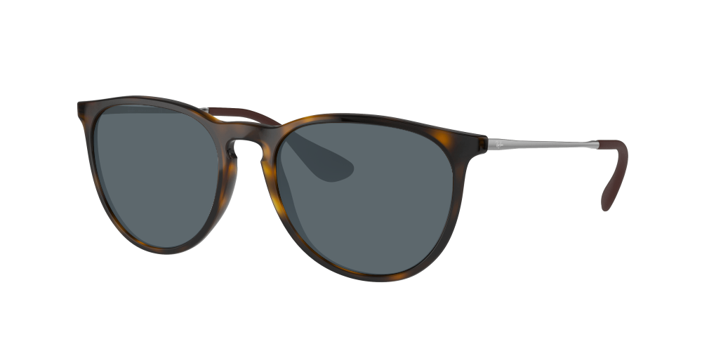 Ray Ban RB4171 710/T5 Erika Ray Ban RB4171 710/T5 Erika