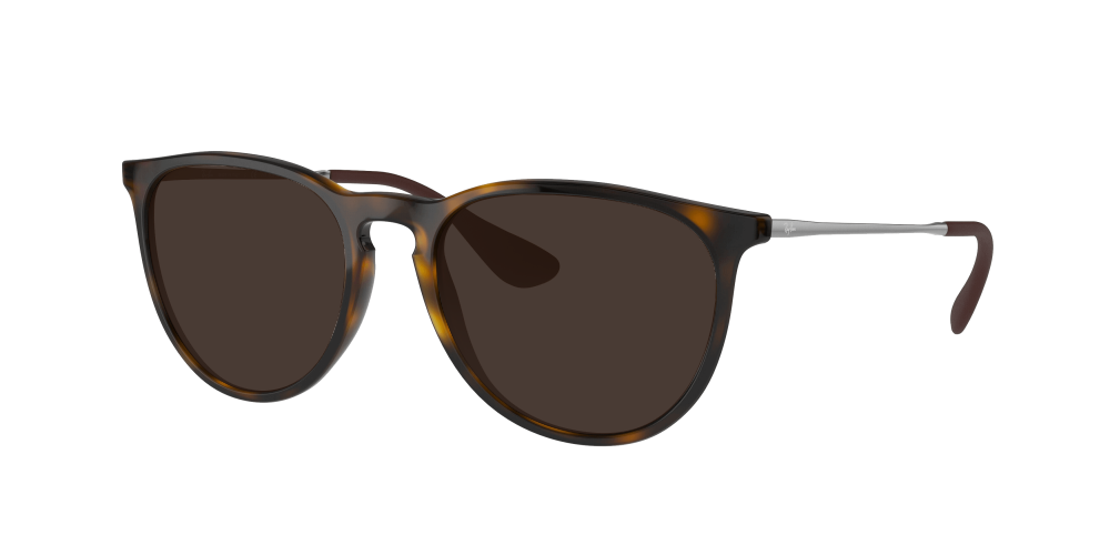 Ray Ban RB4171 710/T5 Erika Ray Ban RB4171 710/T5 Erika