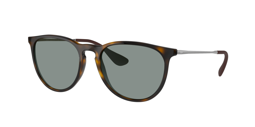 Ray Ban RB4171 710/T5 Erika Ray Ban RB4171 710/T5 Erika