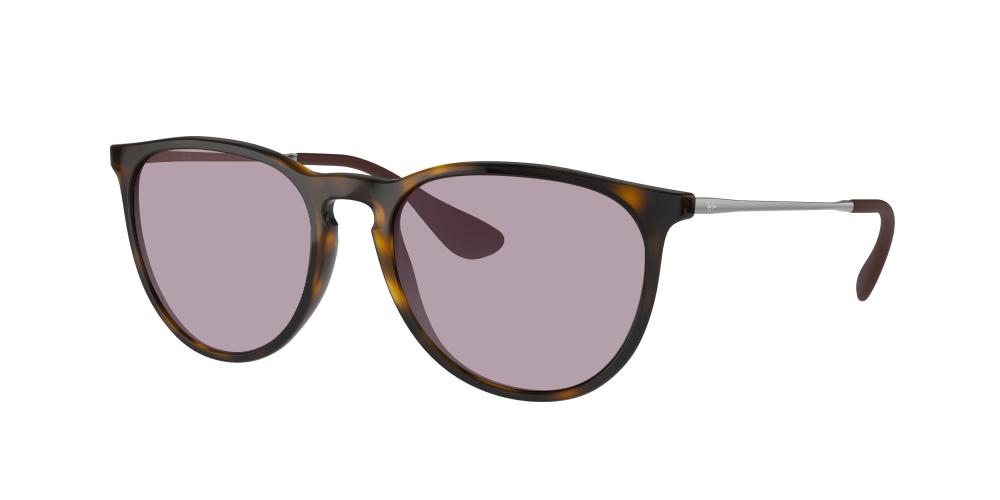 Ray-Ban RB4171 710/T5 Erika Ray-Ban RB4171 710/T5 Erika