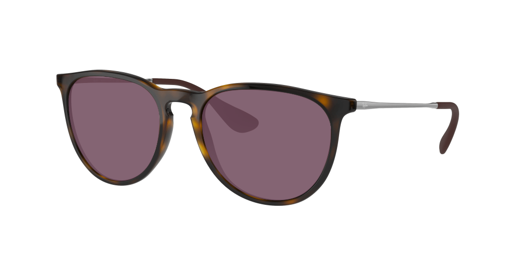 Ray Ban RB4171 710/T5 Erika Ray Ban RB4171 710/T5 Erika