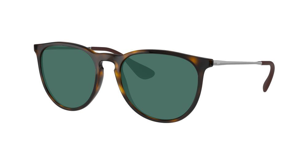 Ray Ban RB4171 710/T5 Erika Ray Ban RB4171 710/T5 Erika