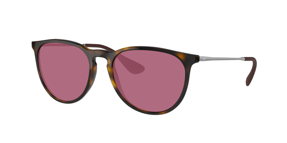 Ray Ban RB4171 710/T5 Erika Ray Ban RB4171 710/T5 Erika