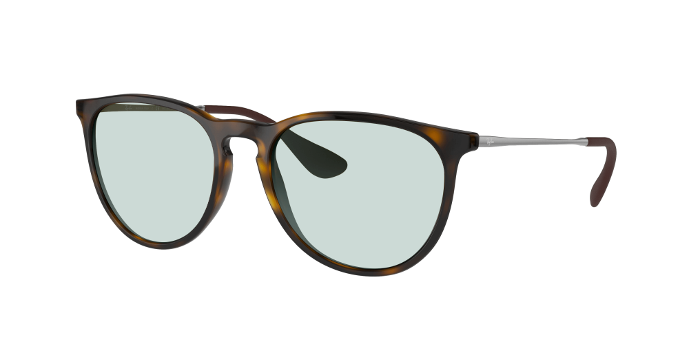 Ray Ban RB4171 710/T5 Erika Ray Ban RB4171 710/T5 Erika