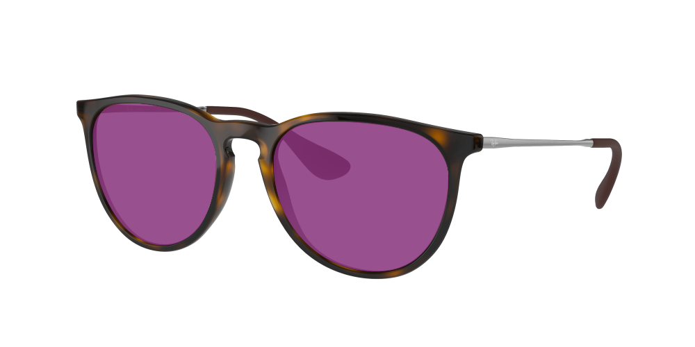 Ray Ban RB4171 710/T5 Erika Ray Ban RB4171 710/T5 Erika