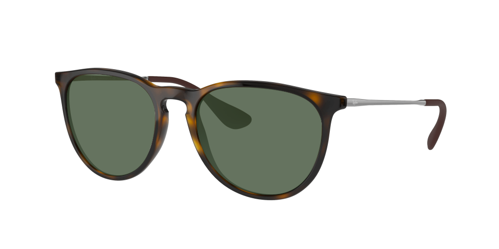 Ray Ban RB4171 710/T5 Erika Ray Ban RB4171 710/T5 Erika