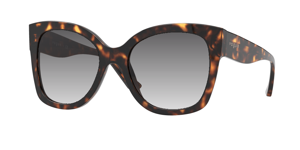 Vogue VO5338S W65613 Vogue VO5338S W65613