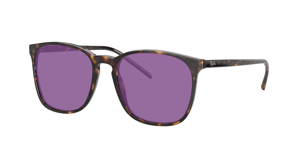 Ray Ban RX5387 2012 Ray Ban RX5387 2012