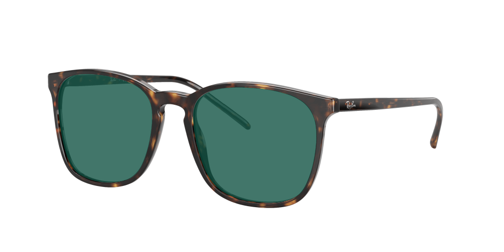 Ray Ban RX5387 2012 Ray Ban RX5387 2012