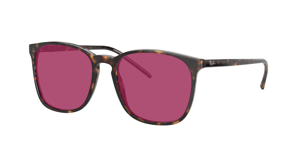 Ray Ban RX5387 2012 Ray Ban RX5387 2012