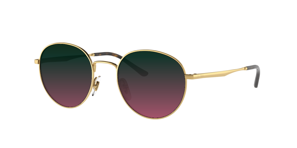 Ray Ban RB3681 001/13 Ray Ban RB3681 001/13