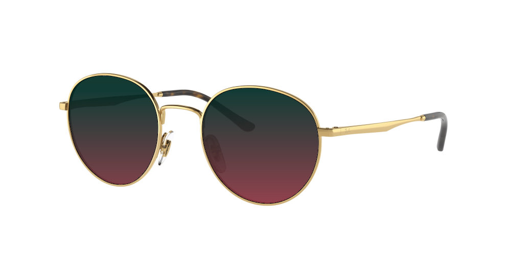 Ray Ban RB3681 001/13 Ray Ban RB3681 001/13