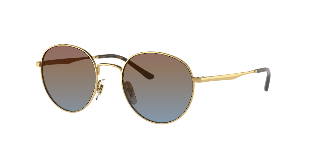 Ray Ban RB3681 001/13 Ray Ban RB3681 001/13