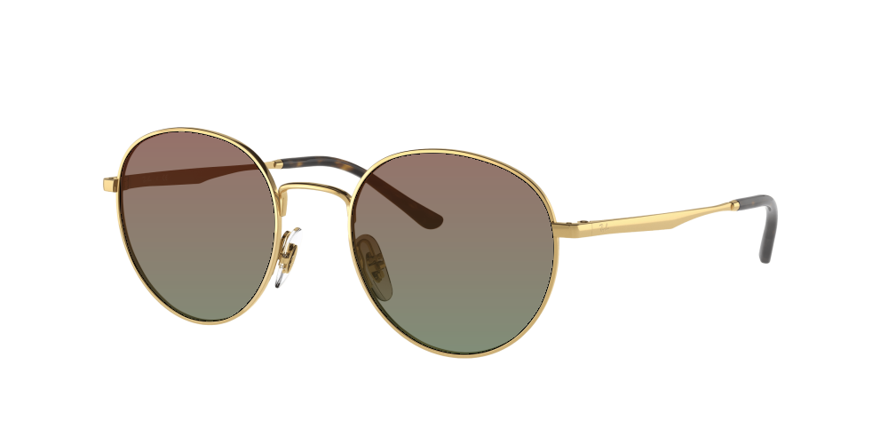 Ray Ban RB3681 001/13 Ray Ban RB3681 001/13