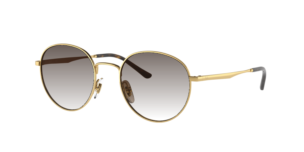 Ray Ban RB3681 001/13 Ray Ban RB3681 001/13