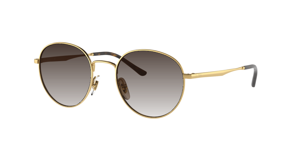 Ray Ban RB3681 001/13 Ray Ban RB3681 001/13