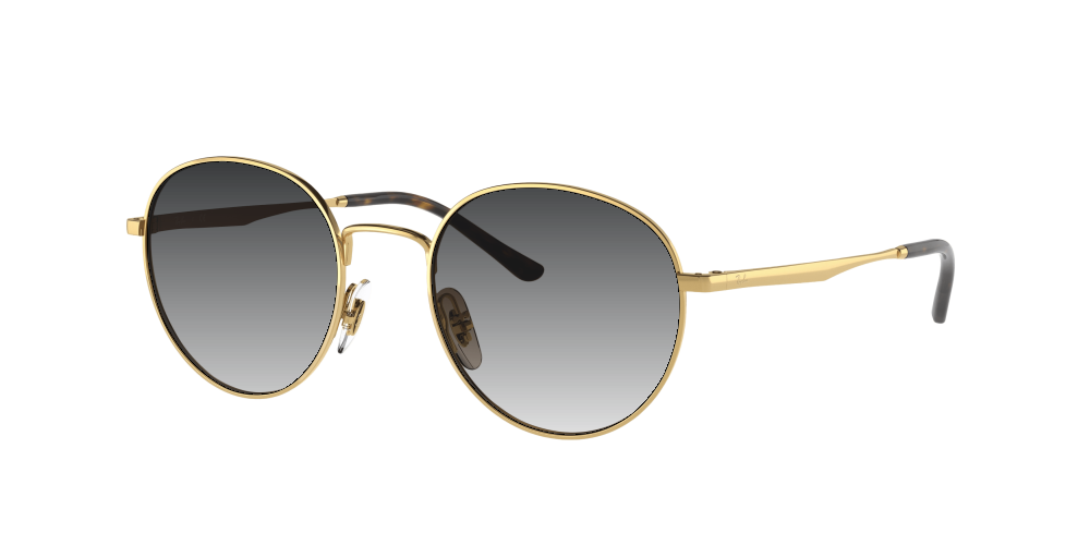 Ray Ban RB3681 001/13 Ray Ban RB3681 001/13