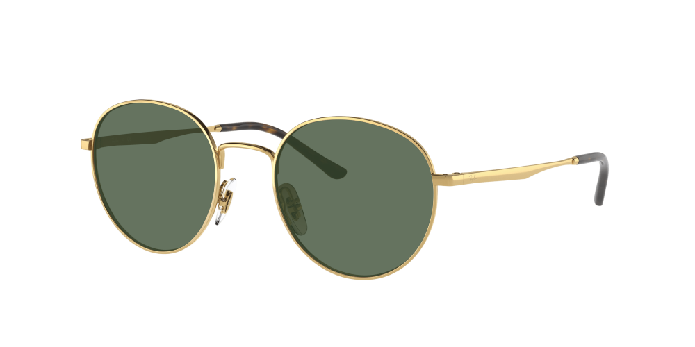 Ray Ban RB3681 001/13 Ray Ban RB3681 001/13