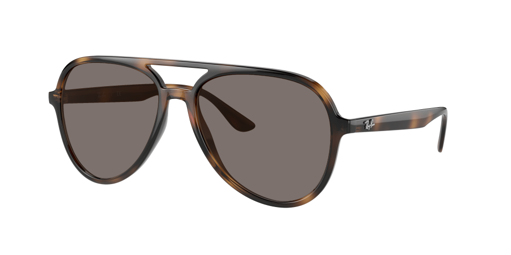 Ray Ban RB4376 710/13 Ray Ban RB4376 710/13
