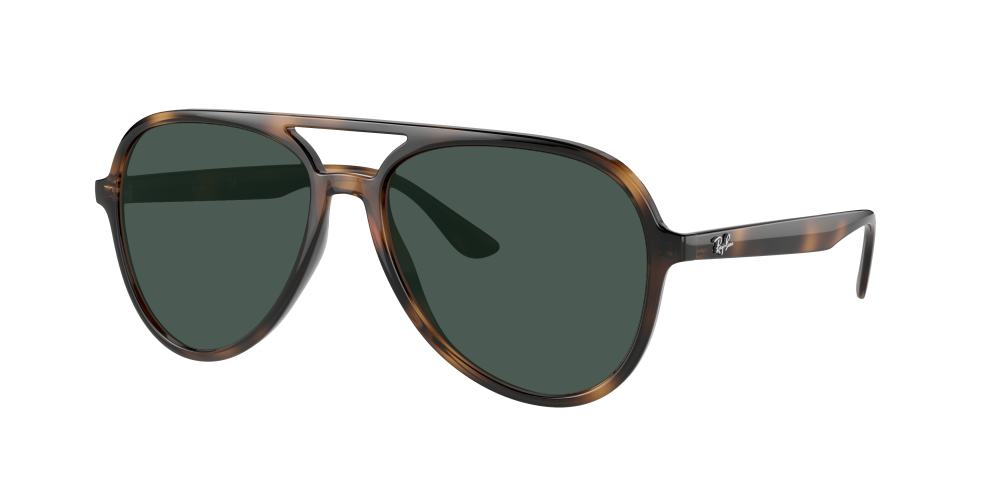 Ray Ban RB4376 710/13 Ray Ban RB4376 710/13