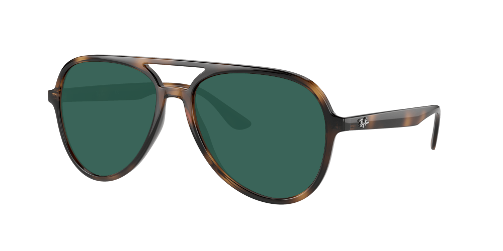 Ray Ban RB4376 710/13 Ray Ban RB4376 710/13