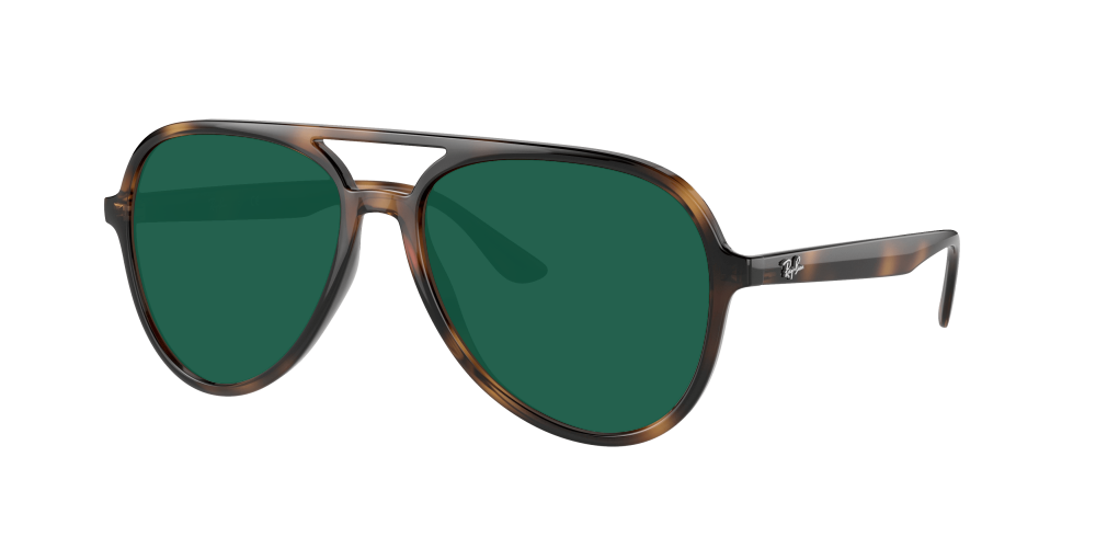 Ray Ban RB4376 710/13 Ray Ban RB4376 710/13