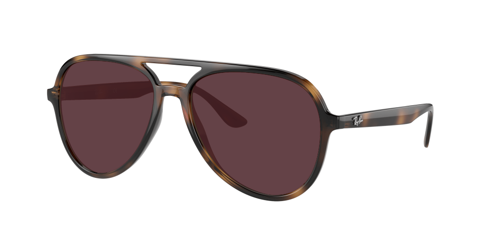 Ray Ban RB4376 710/13 Ray Ban RB4376 710/13
