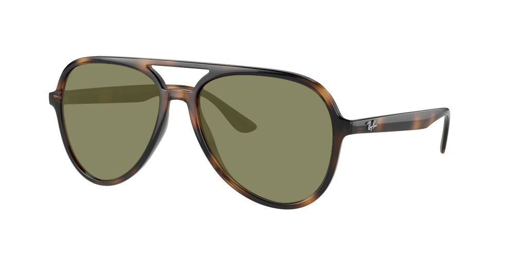 Ray Ban RB4376 710/13 Ray Ban RB4376 710/13