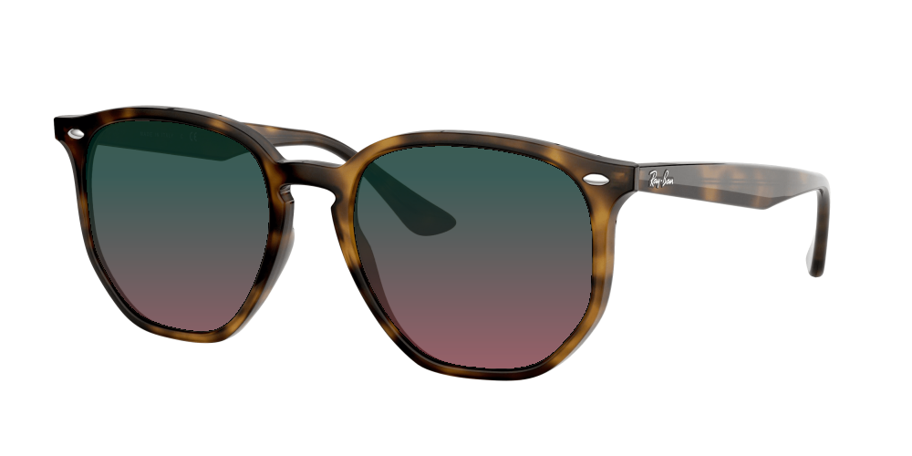 Ray Ban RB4306 710/73 Ray Ban RB4306 710/73