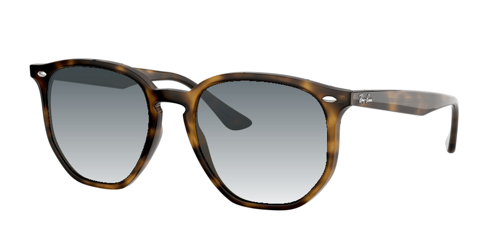 Ray Ban RB4306 710/73 Ray Ban RB4306 710/73