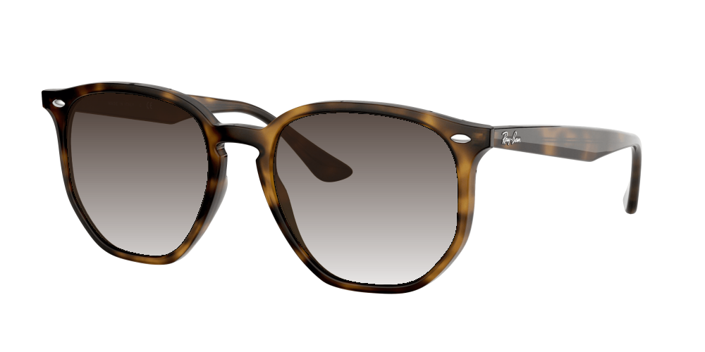 Ray Ban RB4306 710/73 Ray Ban RB4306 710/73
