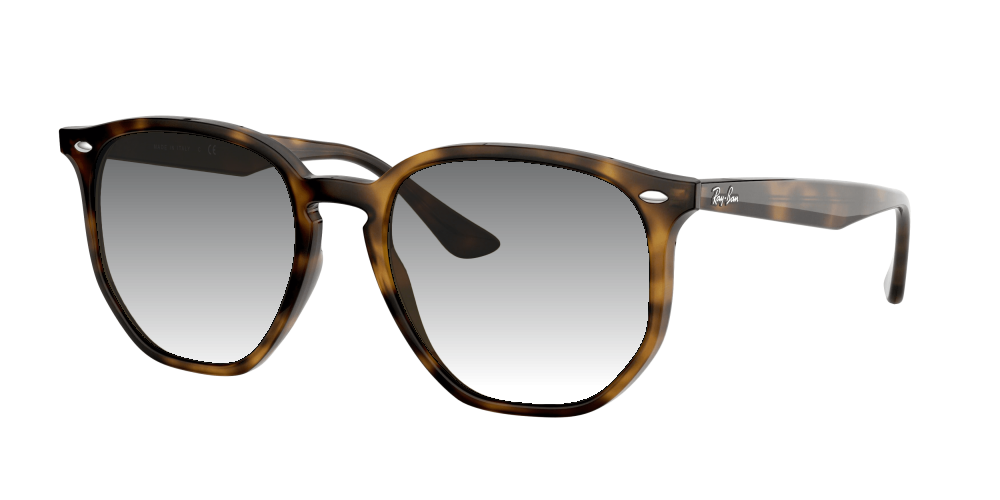 Ray Ban RB4306 710/73 Ray Ban RB4306 710/73