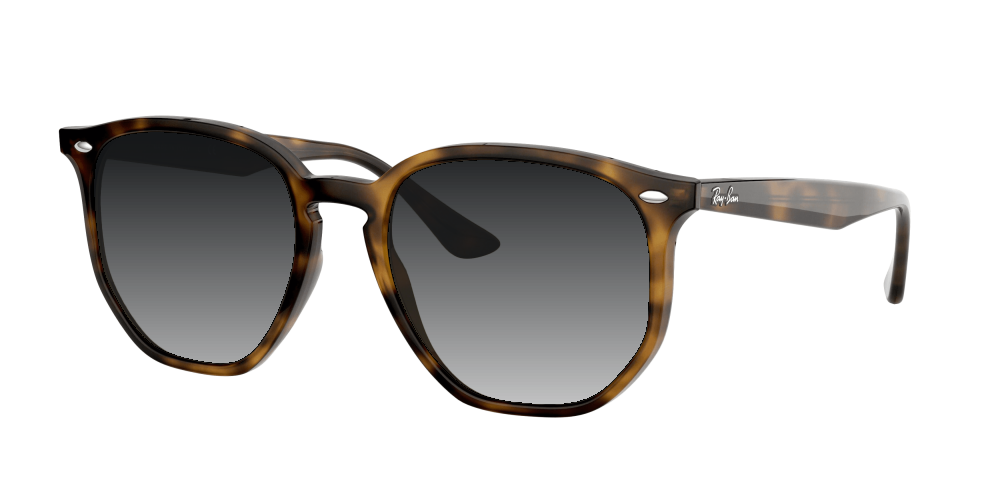 Ray Ban RB4306 710/73 Ray Ban RB4306 710/73