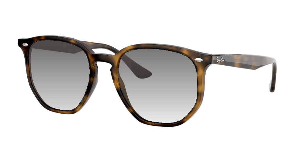 Ray Ban RB4306 710/73 Ray Ban RB4306 710/73