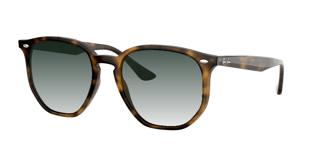 Ray Ban RB4306 710/73 Ray Ban RB4306 710/73