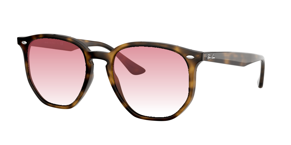 Ray Ban RB4306 710/73 Ray Ban RB4306 710/73